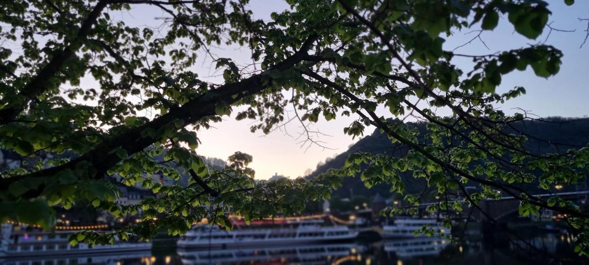Pension Regina Cochem Exteriér fotografie